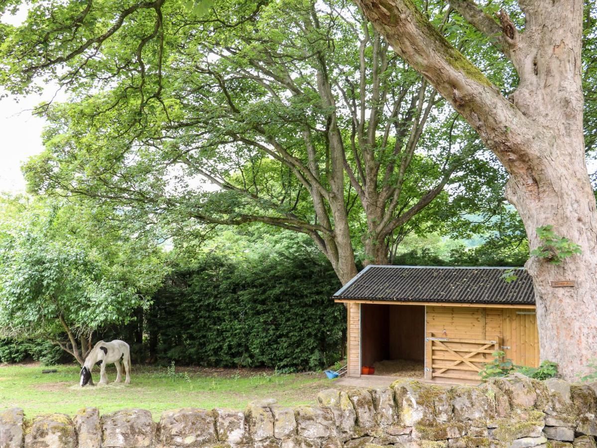 Bluebell Cottage อัลเฟรตัน ภายนอก รูปภาพ